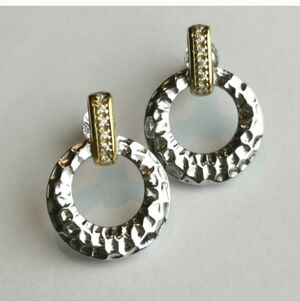Elegant Silver and Gold Hoop Earrings